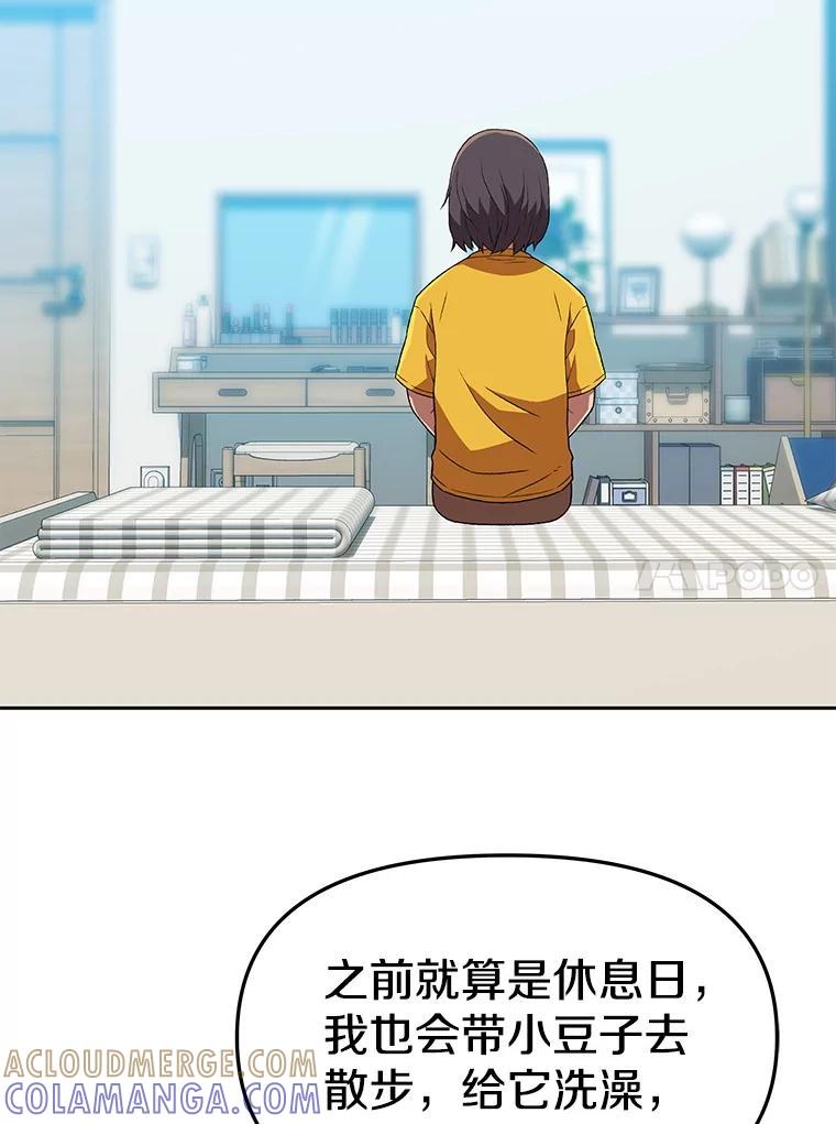 《彩虹桥守望者》142.小豆儿 第19页