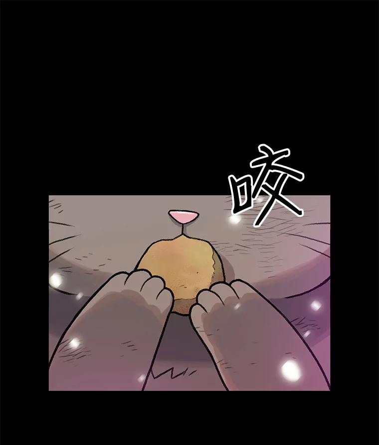 《彩虹桥守望者》14.守护 第66页