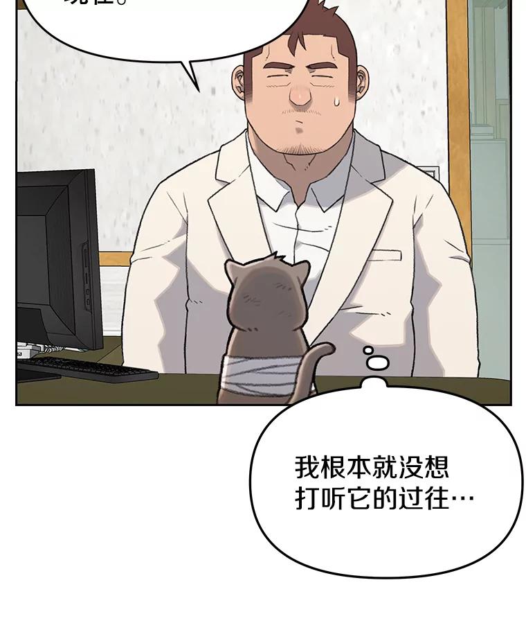 《彩虹桥守望者》14.守护 第72页