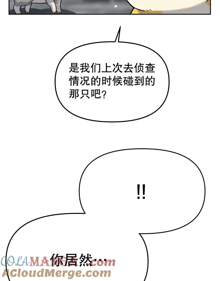 《彩虹桥守望者》14.守护 第85页