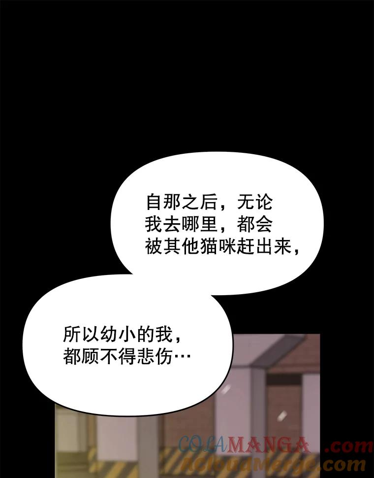《彩虹桥守望者》14.守护 第52页