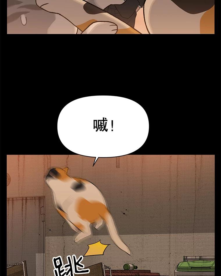 《彩虹桥守望者》14.守护 第18页