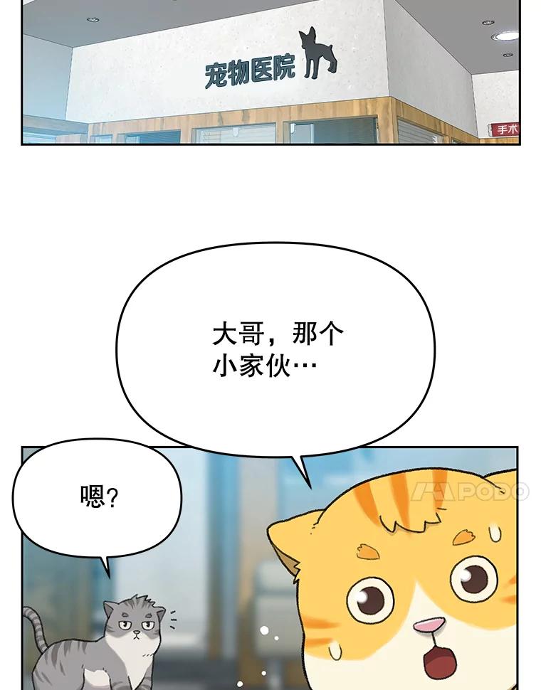 《彩虹桥守望者》14.守护 第84页