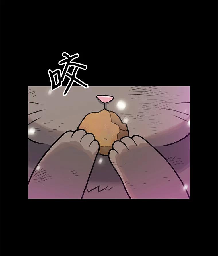 《彩虹桥守望者》14.守护 第68页