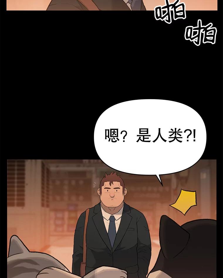 《彩虹桥守望者》14.守护 第17页