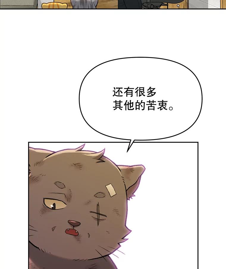 《彩虹桥守望者》14.守护 第45页