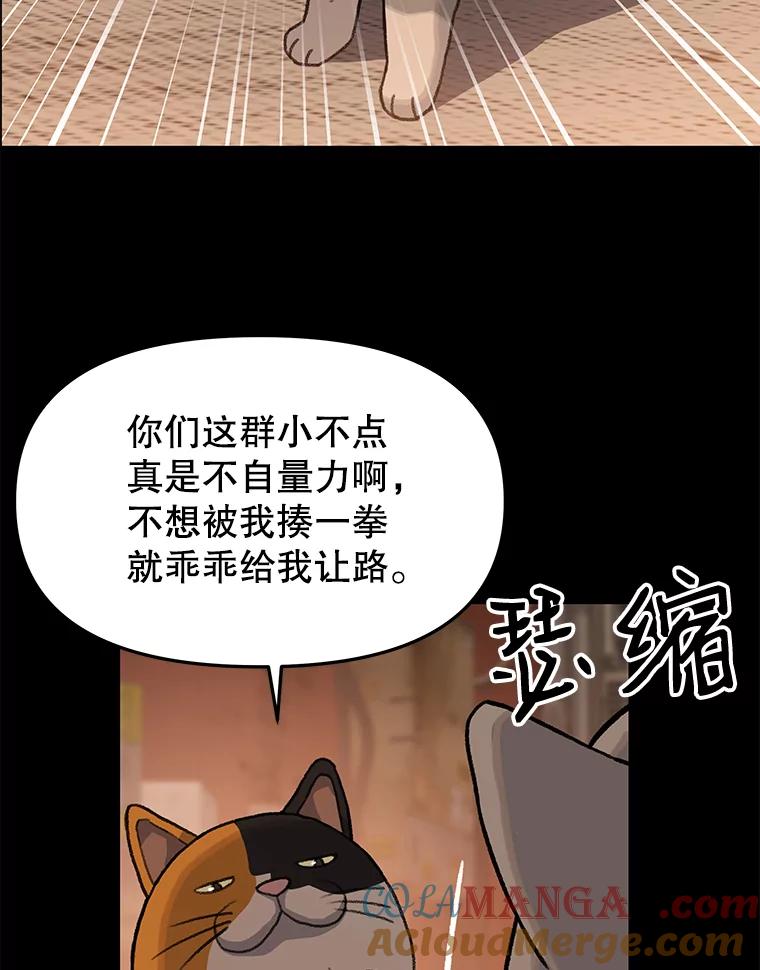 《彩虹桥守望者》14.守护 第13页