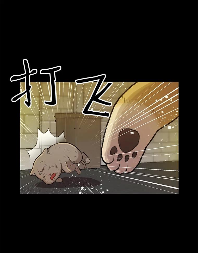 《彩虹桥守望者》14.守护 第56页