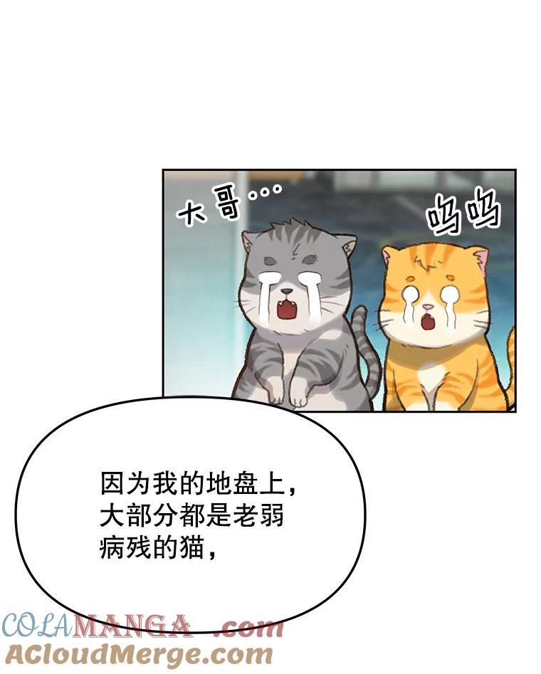 《彩虹桥守望者》14.守护 第73页