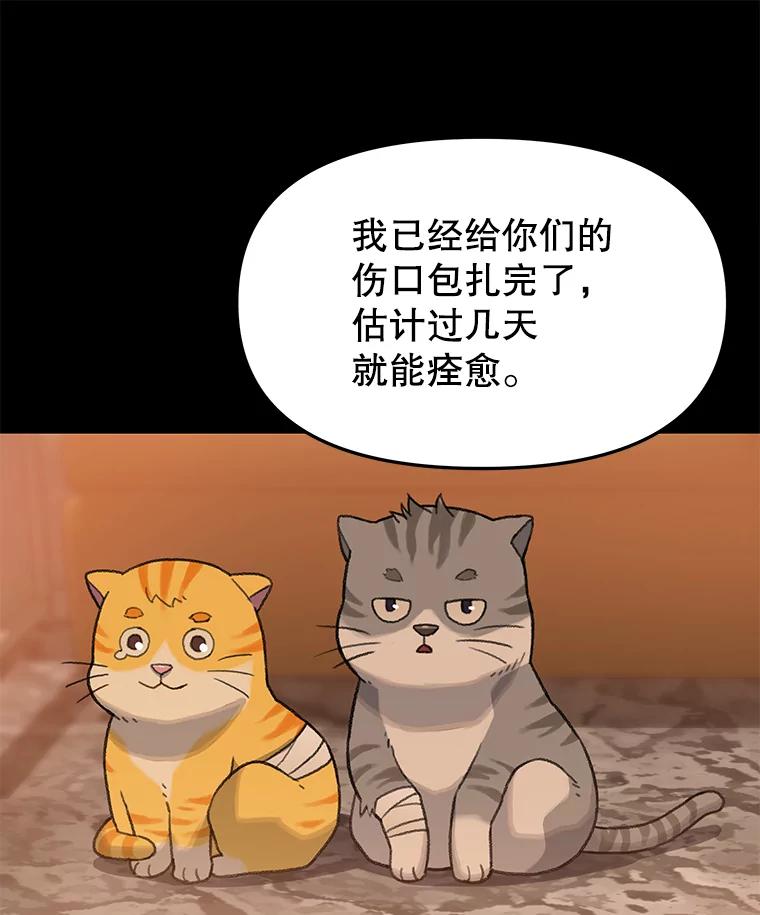 《彩虹桥守望者》14.守护 第23页
