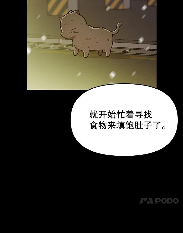 《彩虹桥守望者》14.守护 第53页