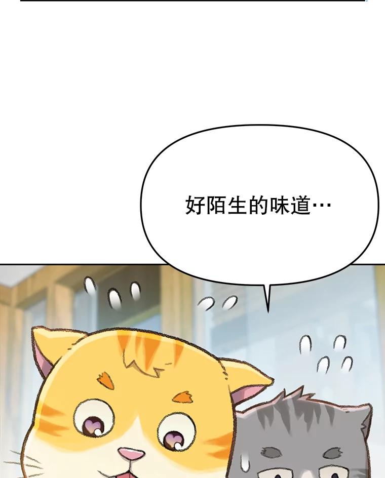 《彩虹桥守望者》14.守护 第38页