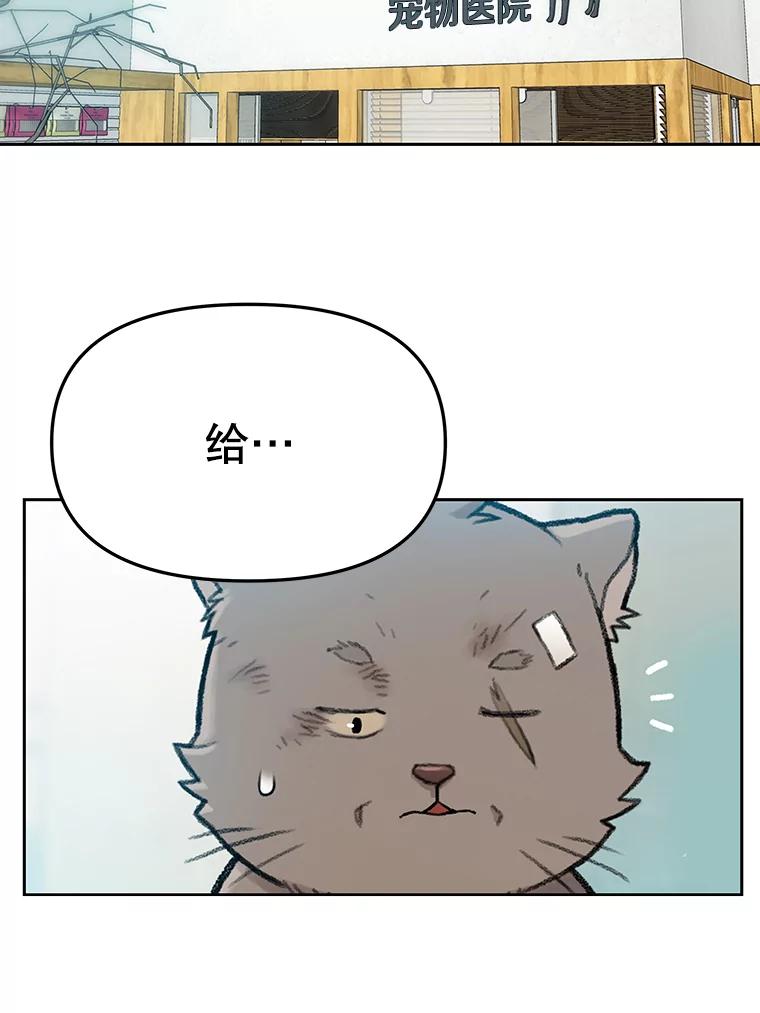 《彩虹桥守望者》14.守护 第35页