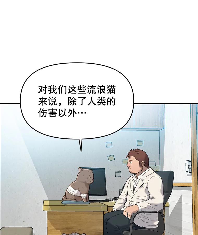 《彩虹桥守望者》14.守护 第44页