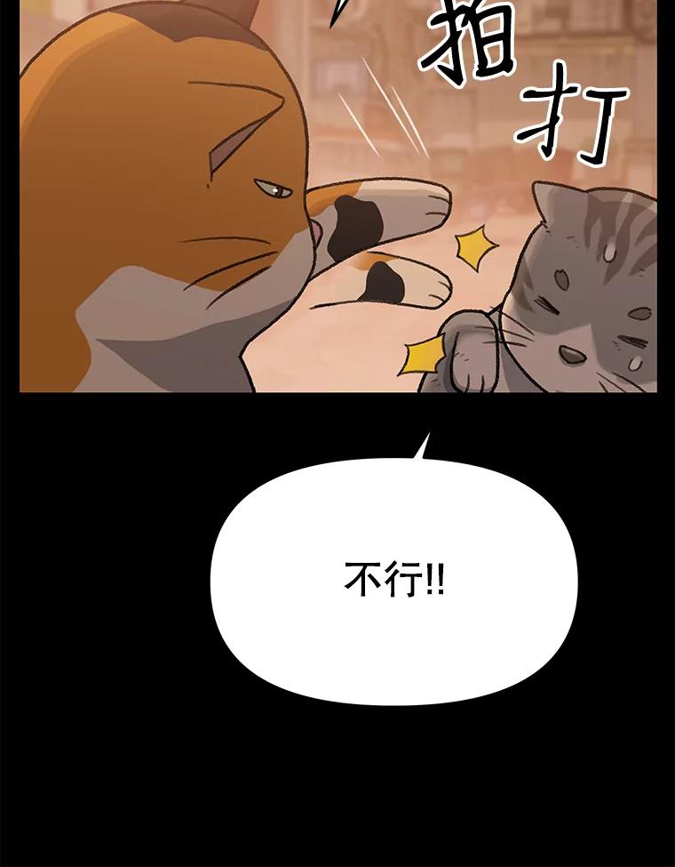 《彩虹桥守望者》14.守护 第15页