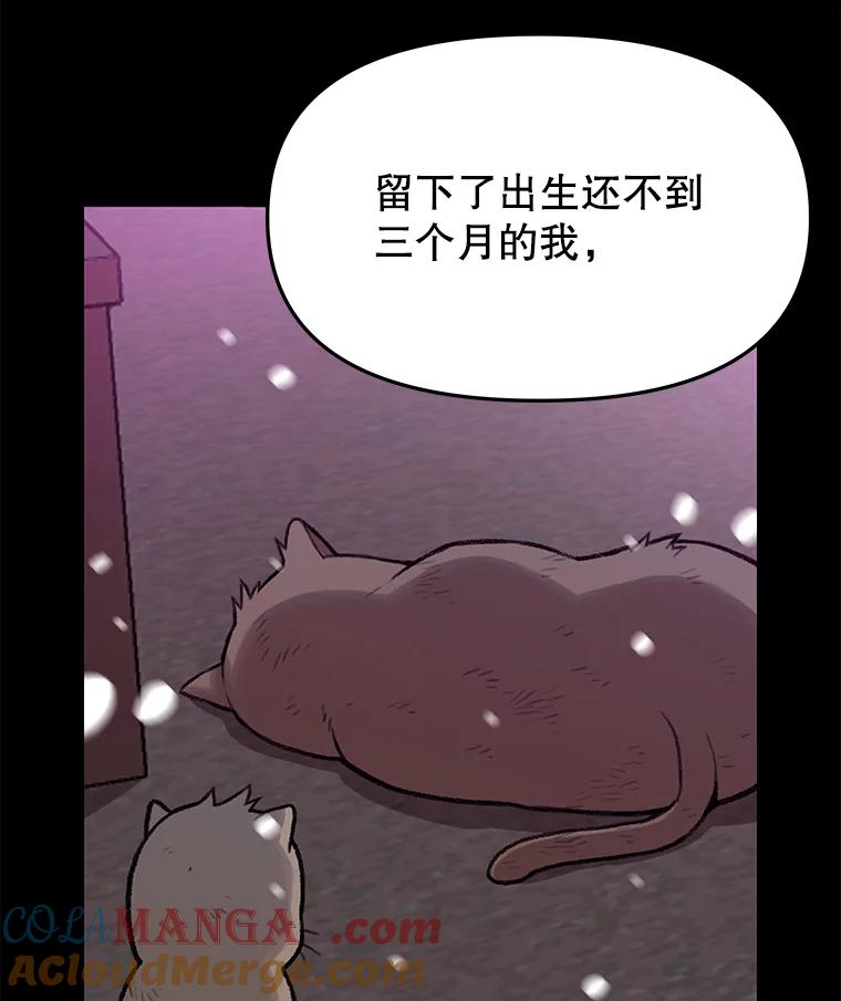 《彩虹桥守望者》14.守护 第49页