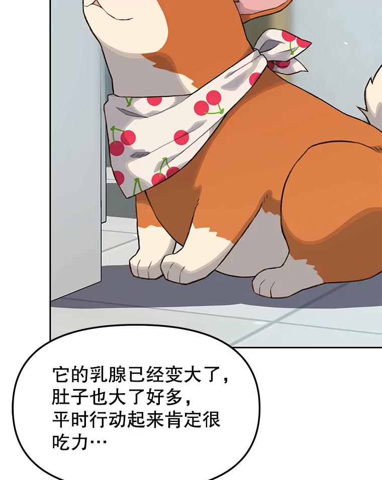 《彩虹桥守望者》15.人类不该这样做 第51页