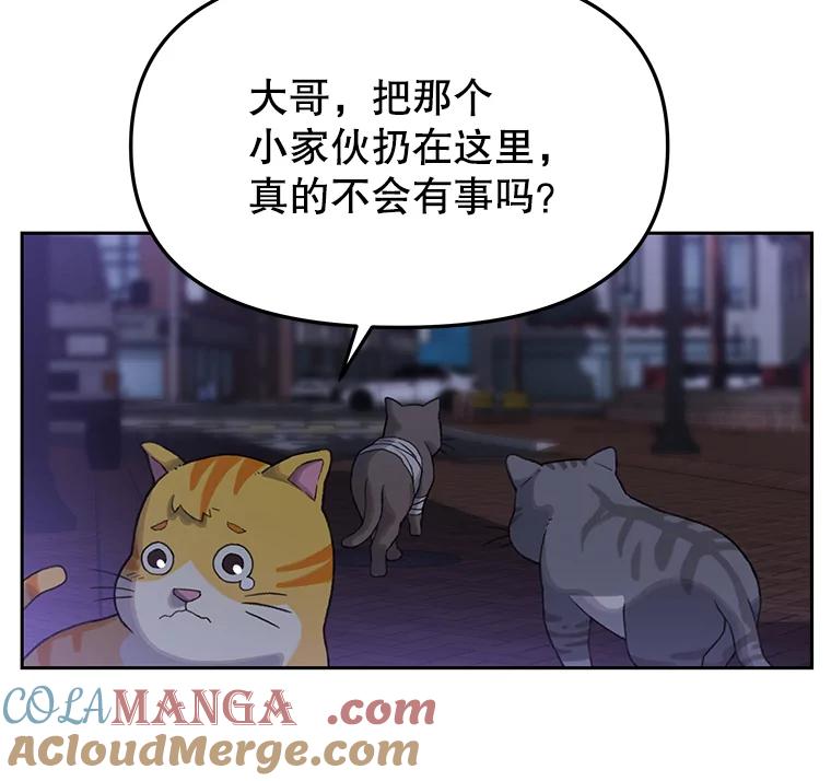 《彩虹桥守望者》15.人类不该这样做 第7页