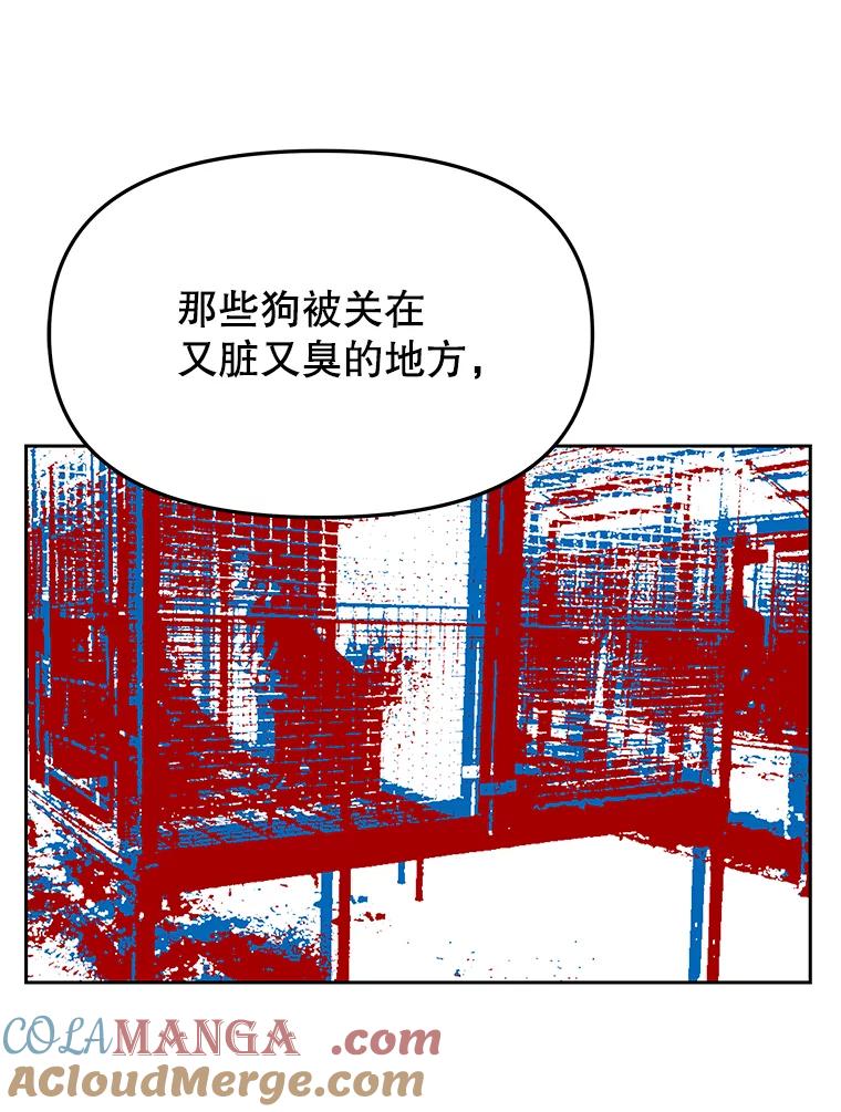 《彩虹桥守望者》15.人类不该这样做 第40页