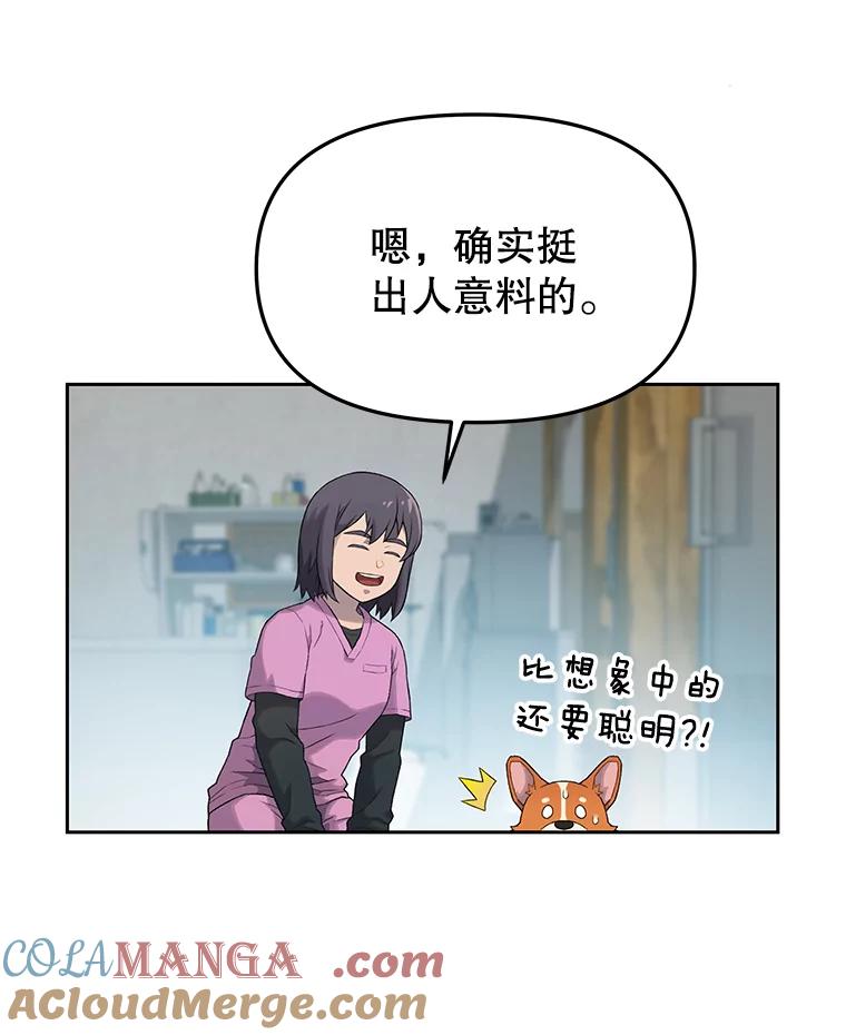 《彩虹桥守望者》15.人类不该这样做 第55页