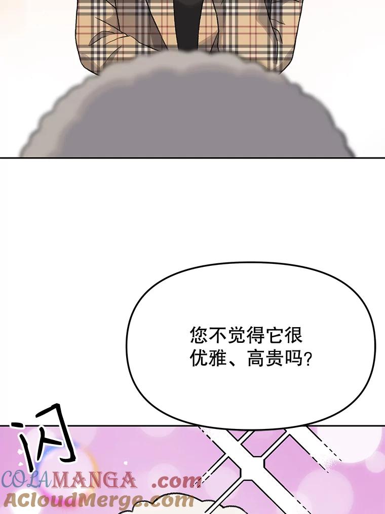 《彩虹桥守望者》15.人类不该这样做 第19页
