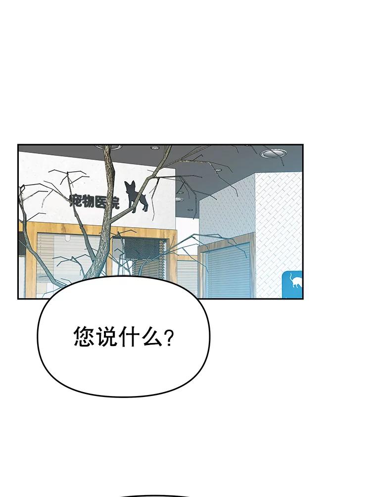 《彩虹桥守望者》16.恭喜出院 第35页