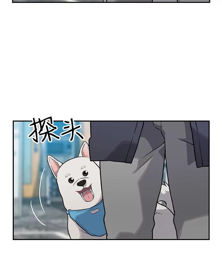 《彩虹桥守望者》16.恭喜出院 第21页