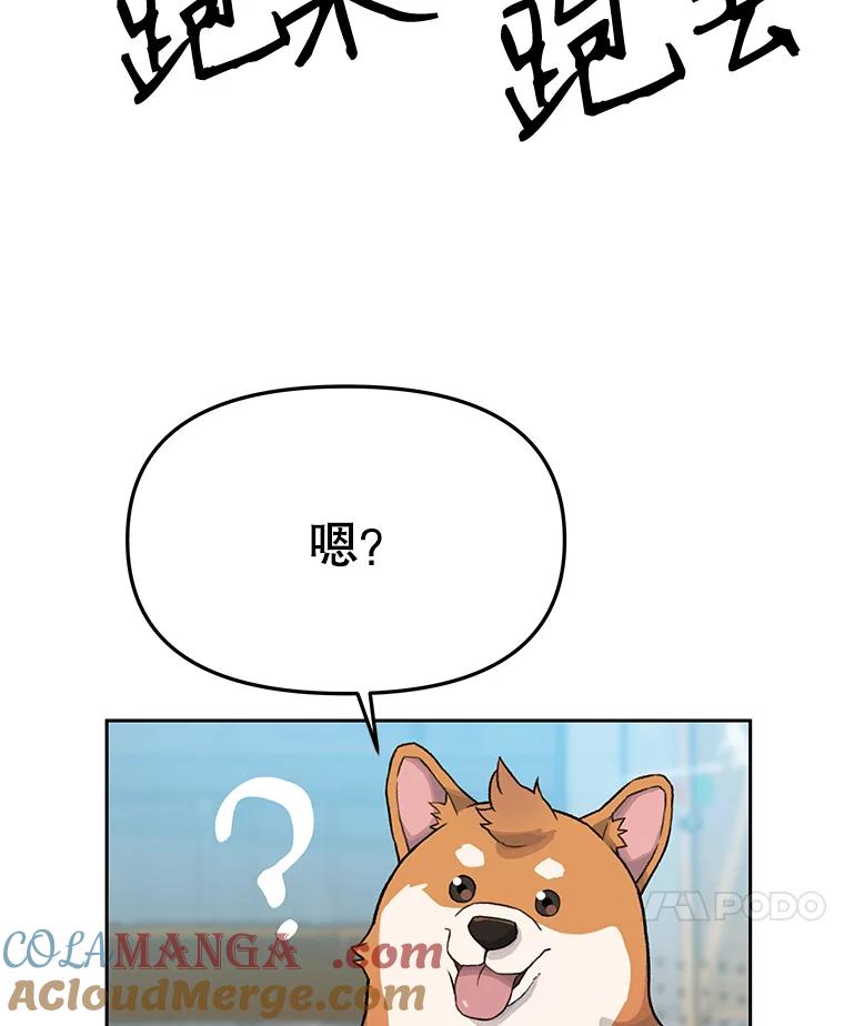 《彩虹桥守望者》16.恭喜出院 第19页