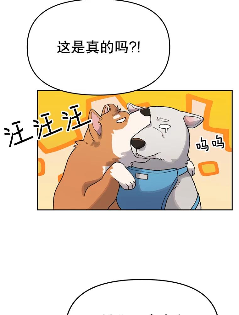 《彩虹桥守望者》16.恭喜出院 第36页