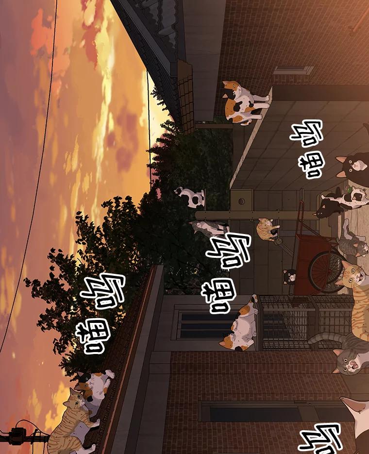 《彩虹桥守望者》16.恭喜出院 第72页