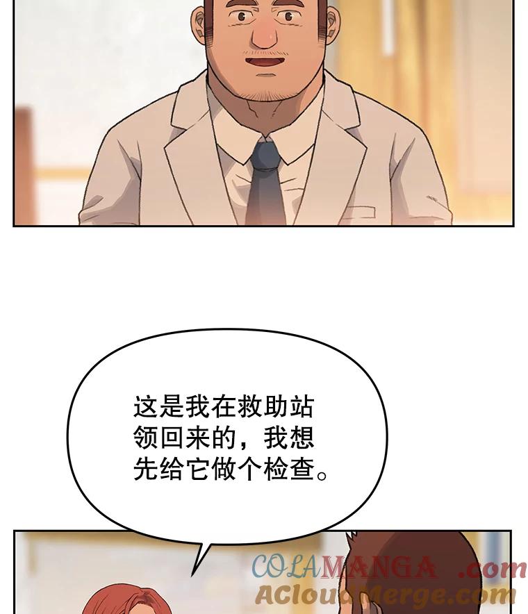 《彩虹桥守望者》17.神秘的猫咪 第58页