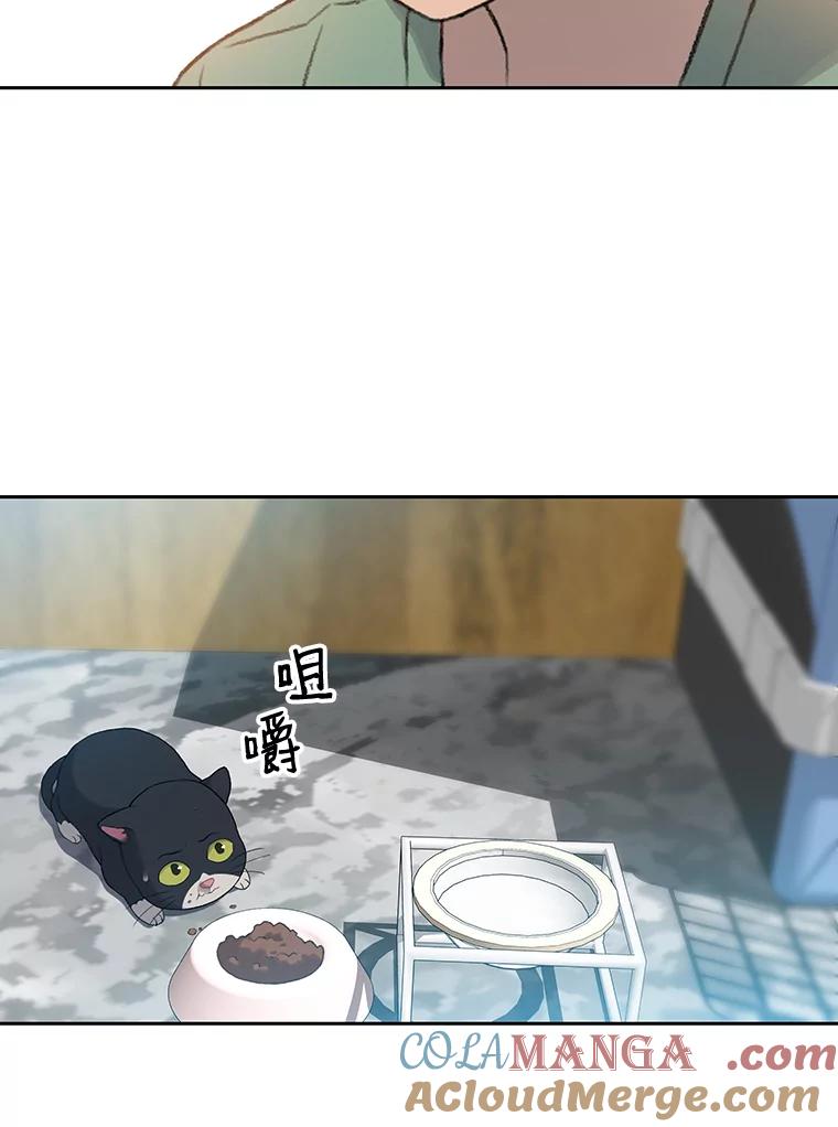 《彩虹桥守望者》17.神秘的猫咪 第37页