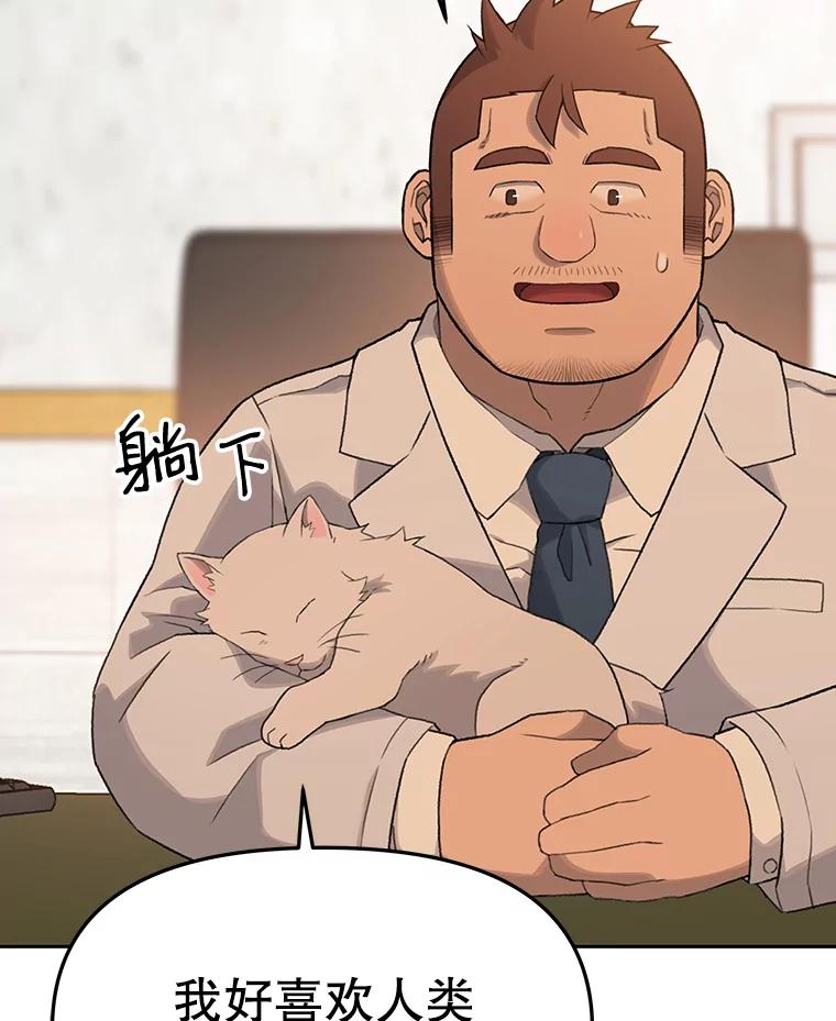 《彩虹桥守望者》17.神秘的猫咪 第65页