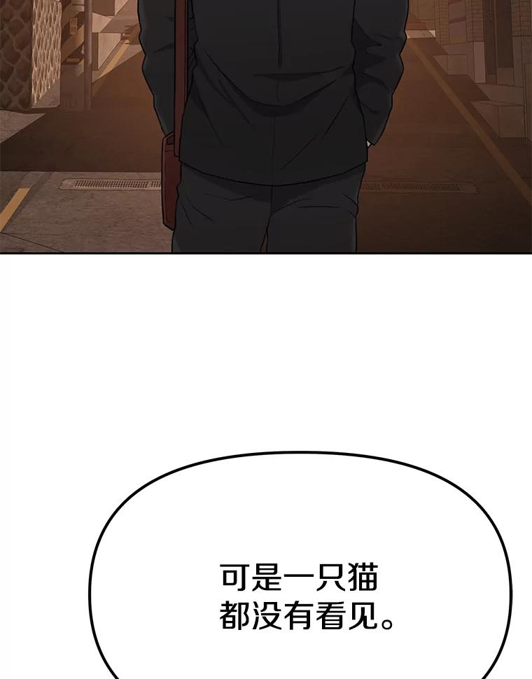 《彩虹桥守望者》17.神秘的猫咪 第72页