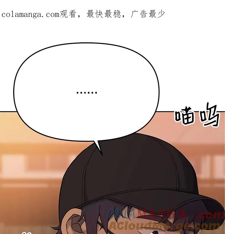 《彩虹桥守望者》17.神秘的猫咪 第1页