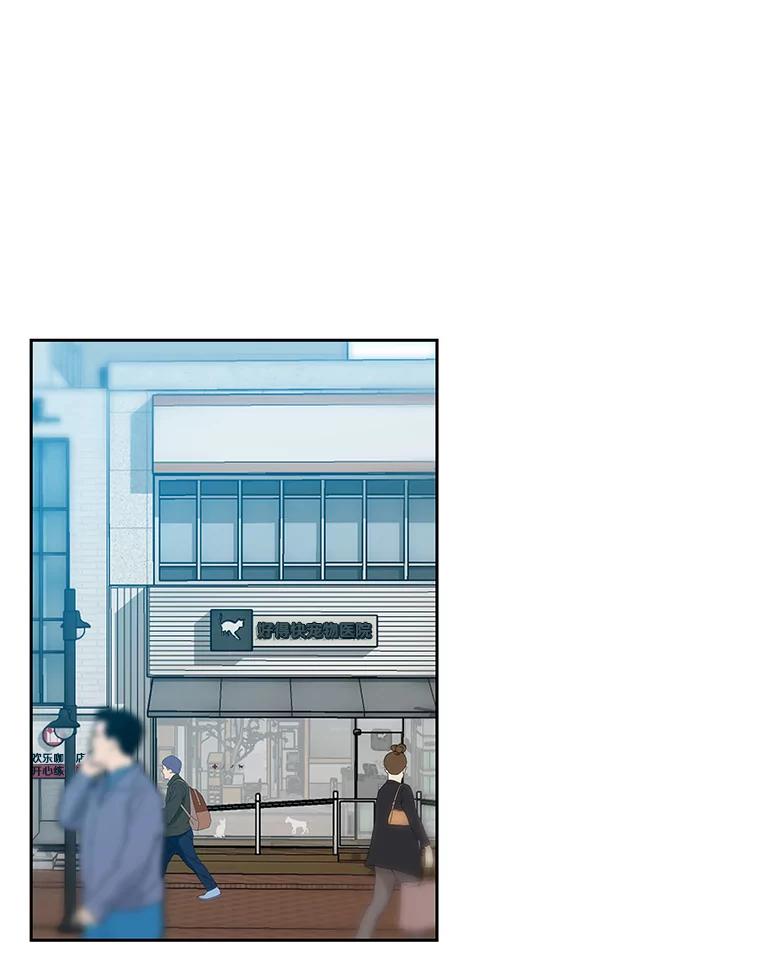 《彩虹桥守望者》17.神秘的猫咪 第32页