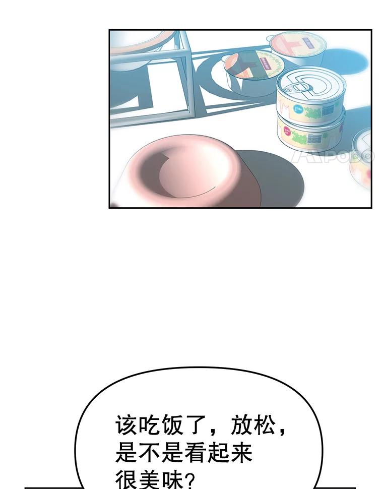 《彩虹桥守望者》17.神秘的猫咪 第33页