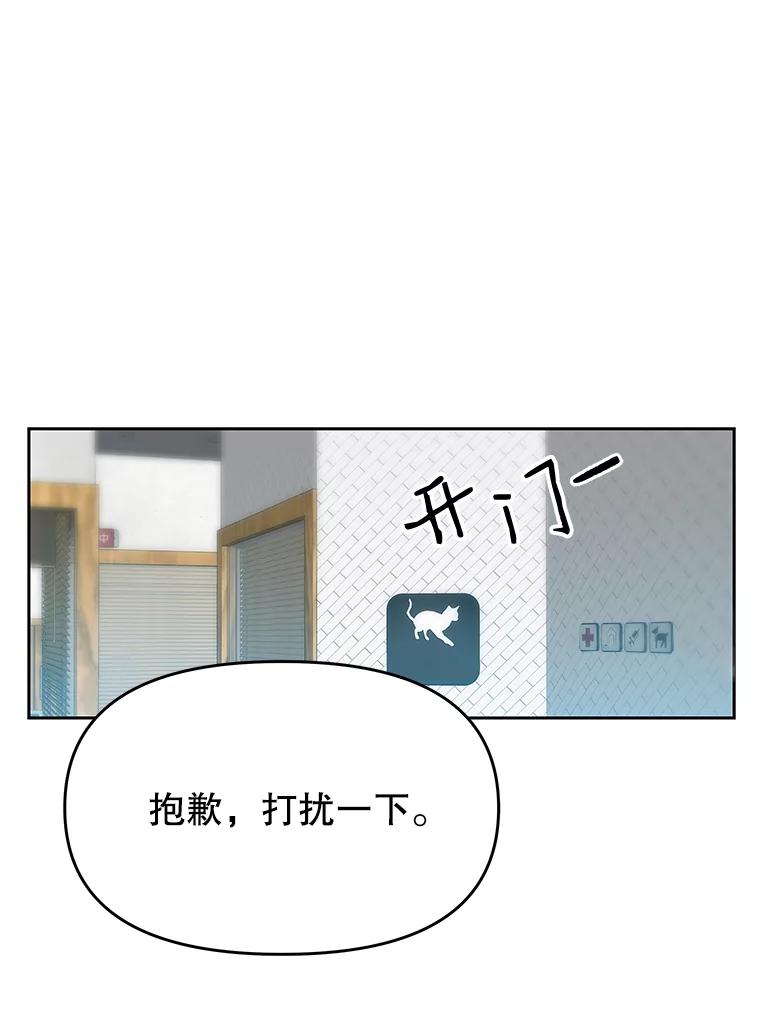 《彩虹桥守望者》17.神秘的猫咪 第41页