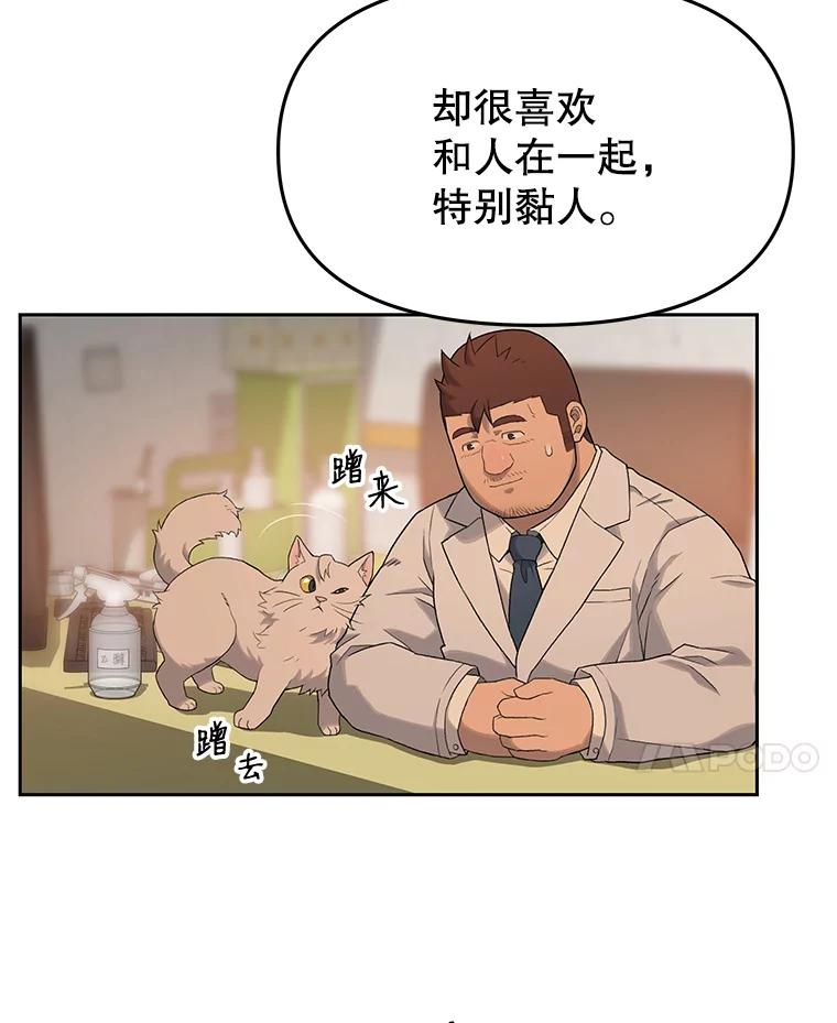《彩虹桥守望者》17.神秘的猫咪 第63页