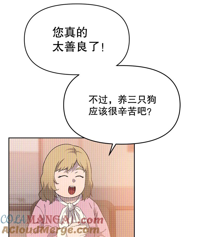 《彩虹桥守望者》17.神秘的猫咪 第25页
