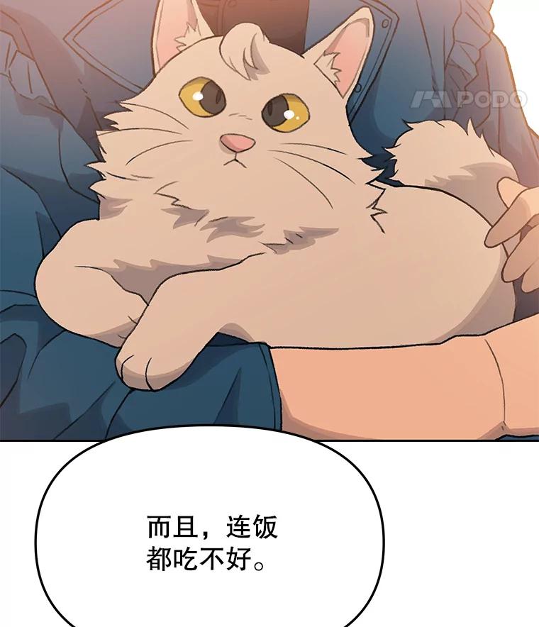《彩虹桥守望者》17.神秘的猫咪 第60页