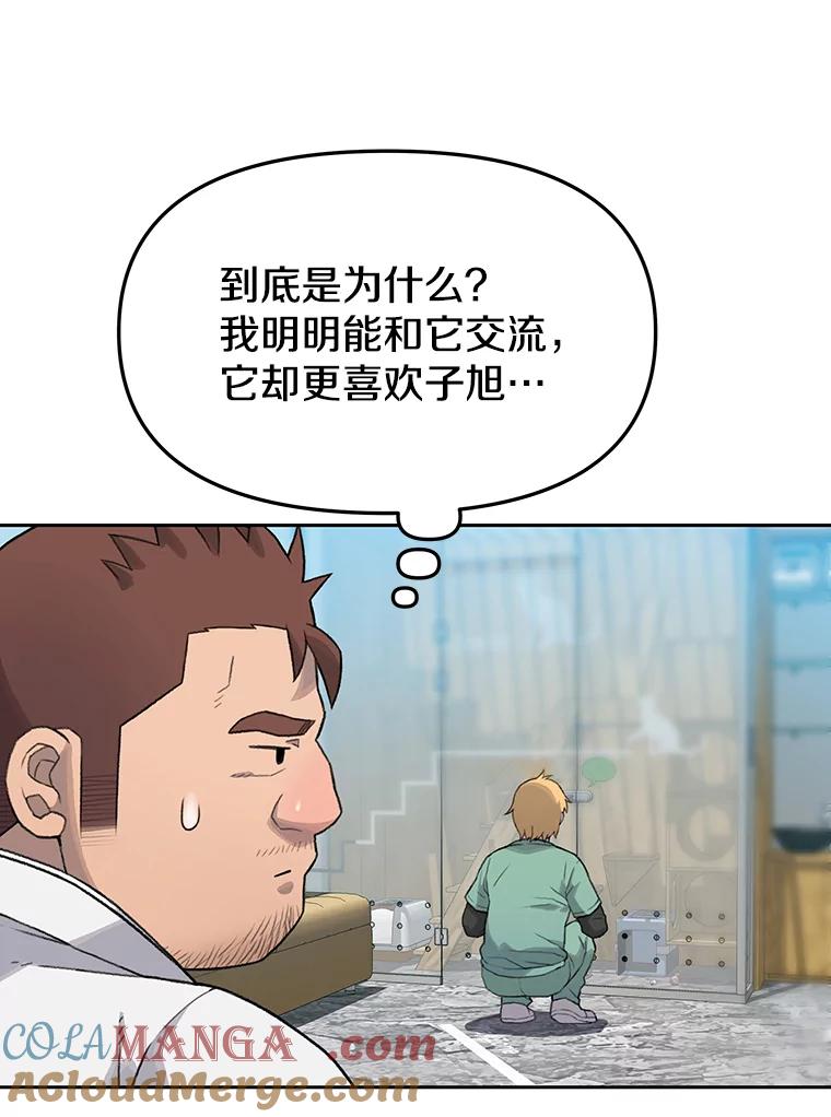 《彩虹桥守望者》17.神秘的猫咪 第40页