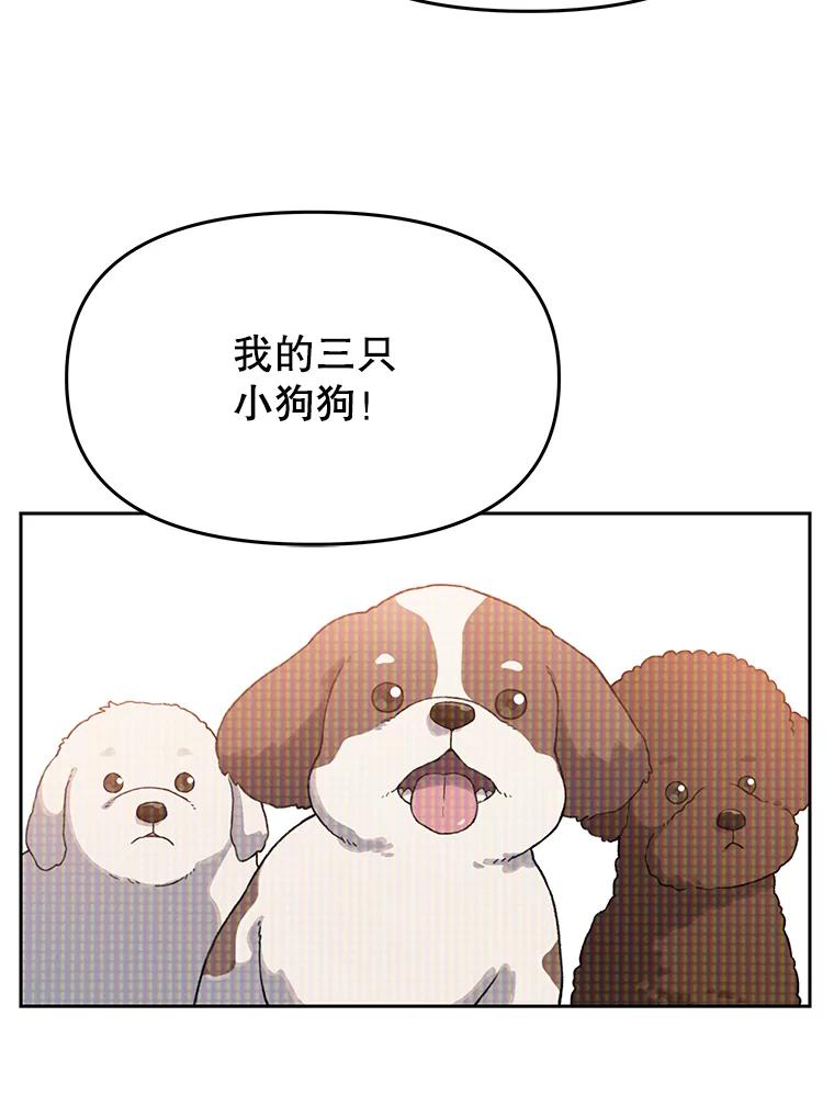 《彩虹桥守望者》17.神秘的猫咪 第21页