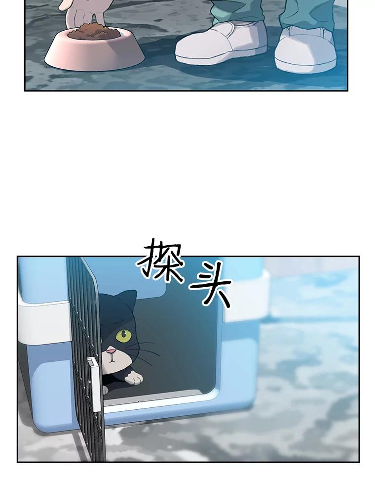 《彩虹桥守望者》17.神秘的猫咪 第35页