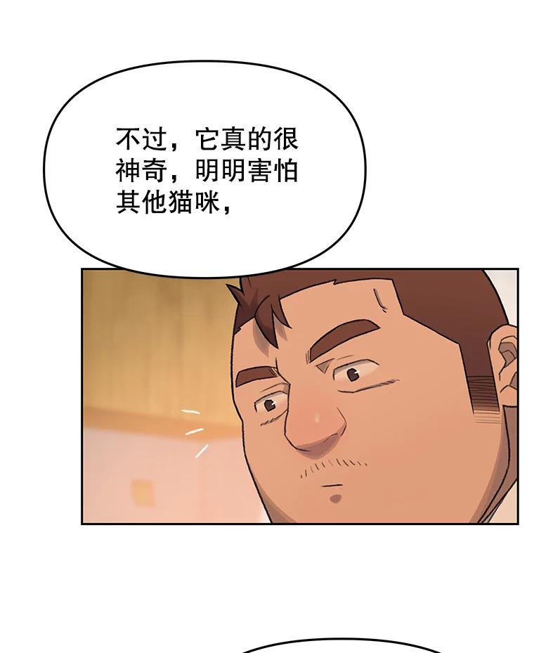 《彩虹桥守望者》17.神秘的猫咪 第62页