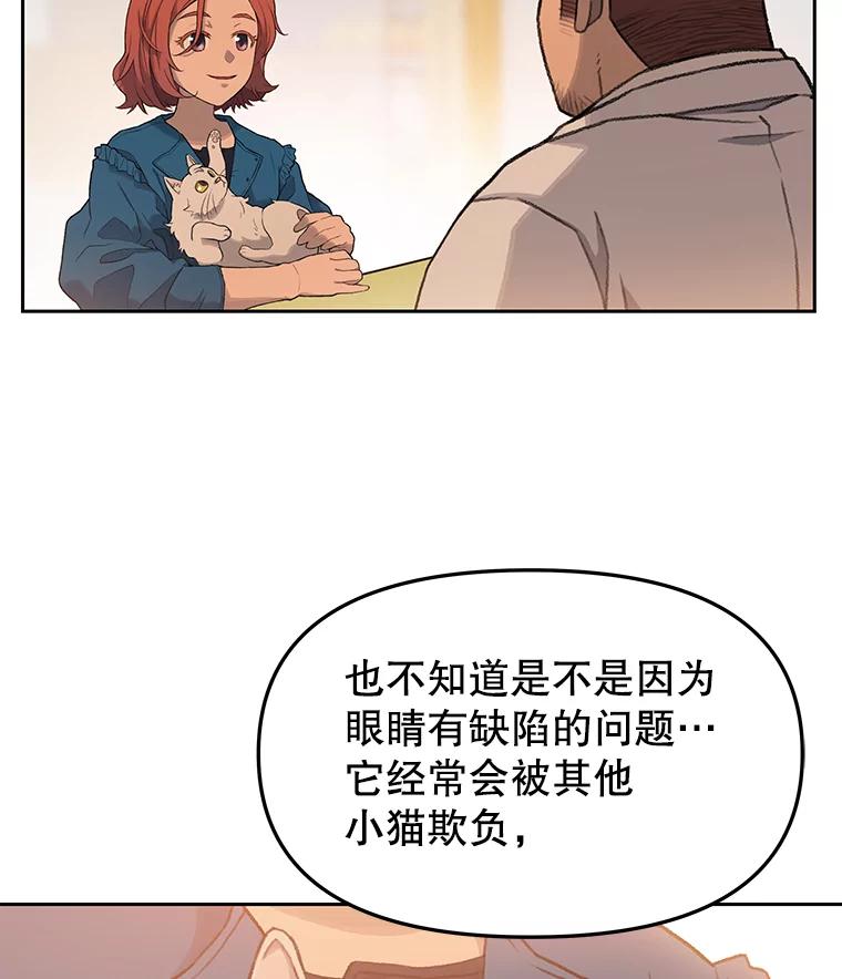 《彩虹桥守望者》17.神秘的猫咪 第59页