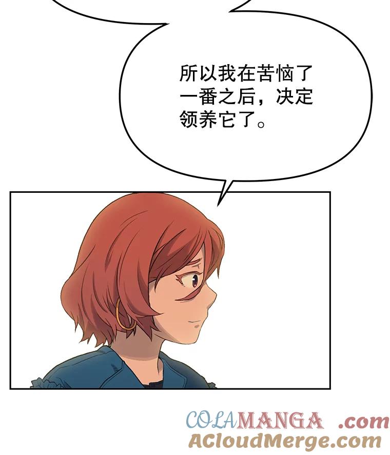 《彩虹桥守望者》17.神秘的猫咪 第61页