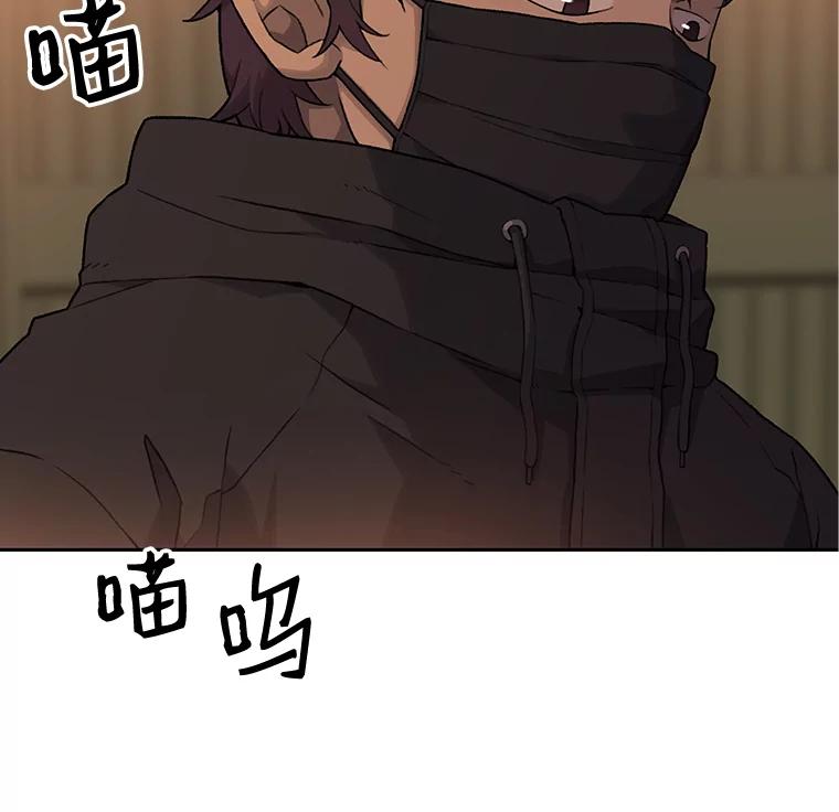 《彩虹桥守望者》17.神秘的猫咪 第2页