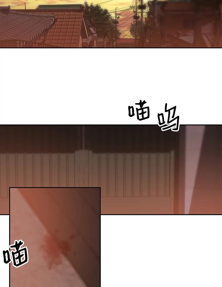 《彩虹桥守望者》17.神秘的猫咪 第45页