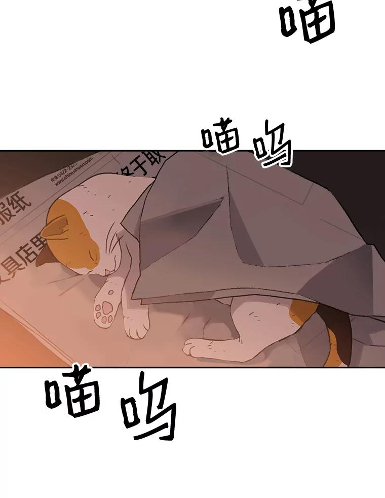 《彩虹桥守望者》17.神秘的猫咪 第47页